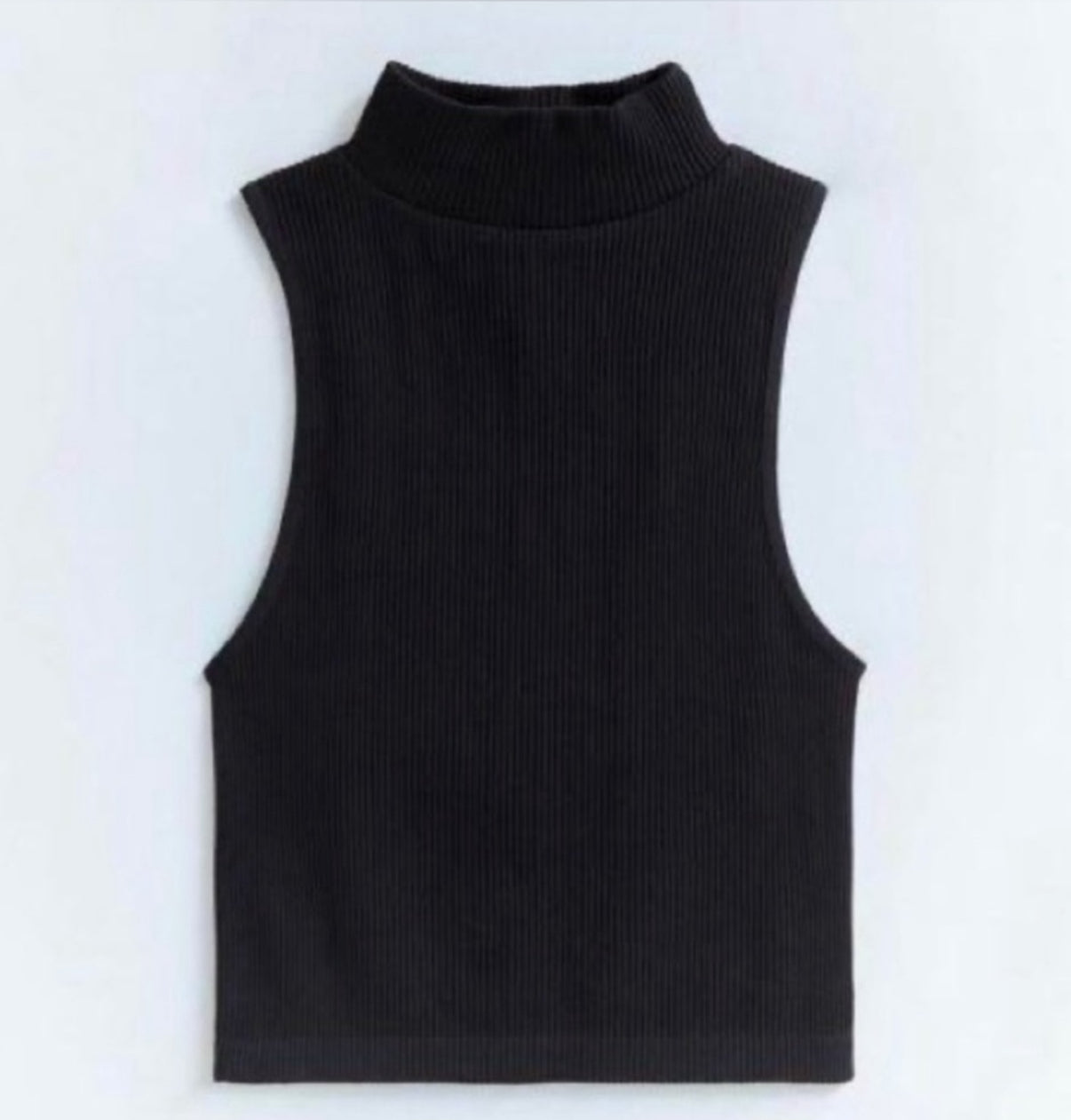 Zara Limitless Contour Collection
High Neck Top