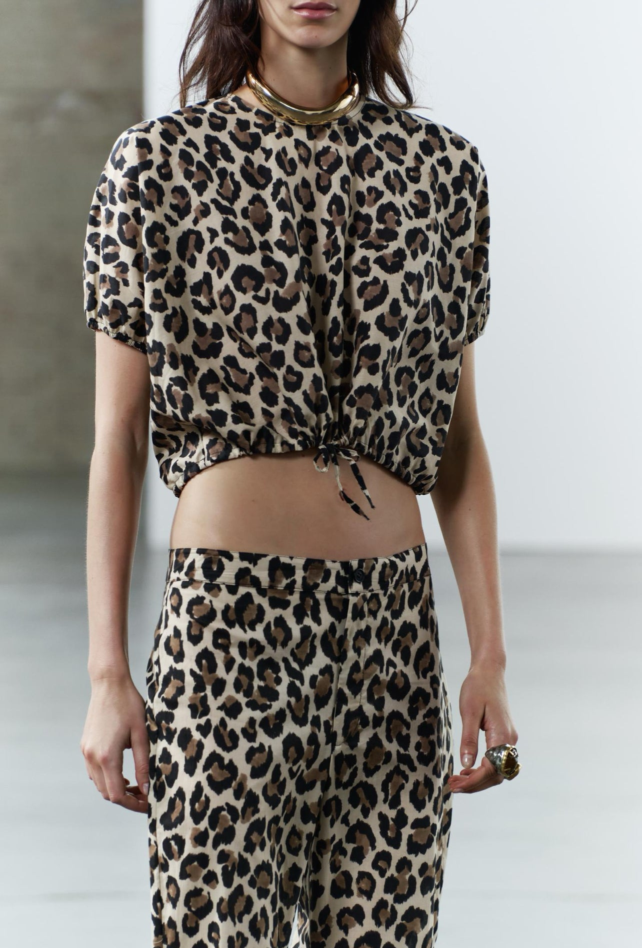 ZARA ZW Collection Animal Print Pants