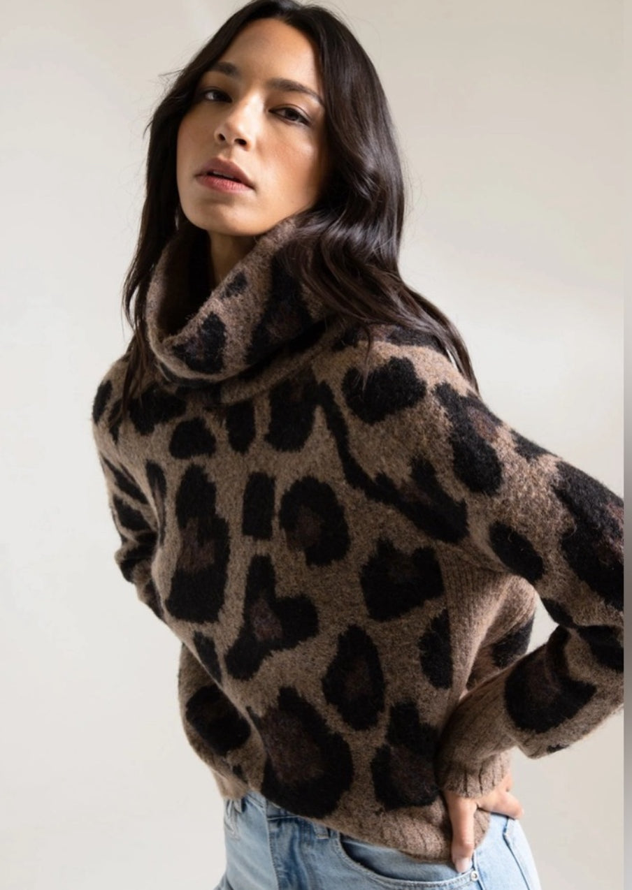 RD Style Leopard Knit Sweater