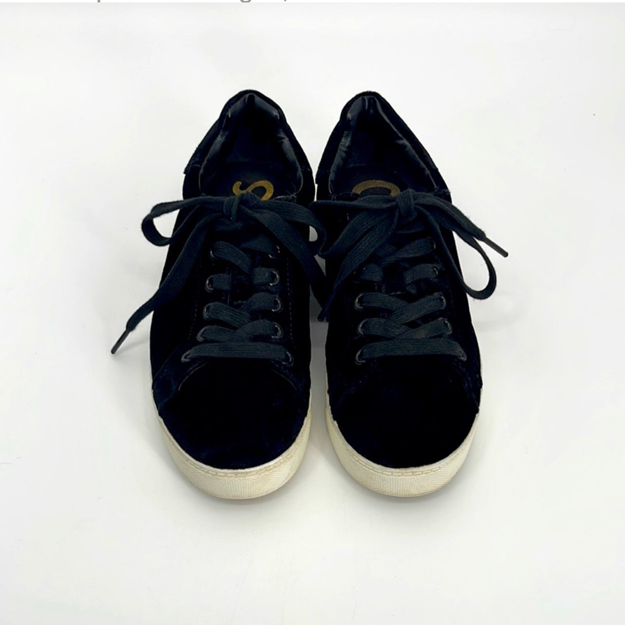 Circus By Sam Edelman Caprice
Velvet Sneaker