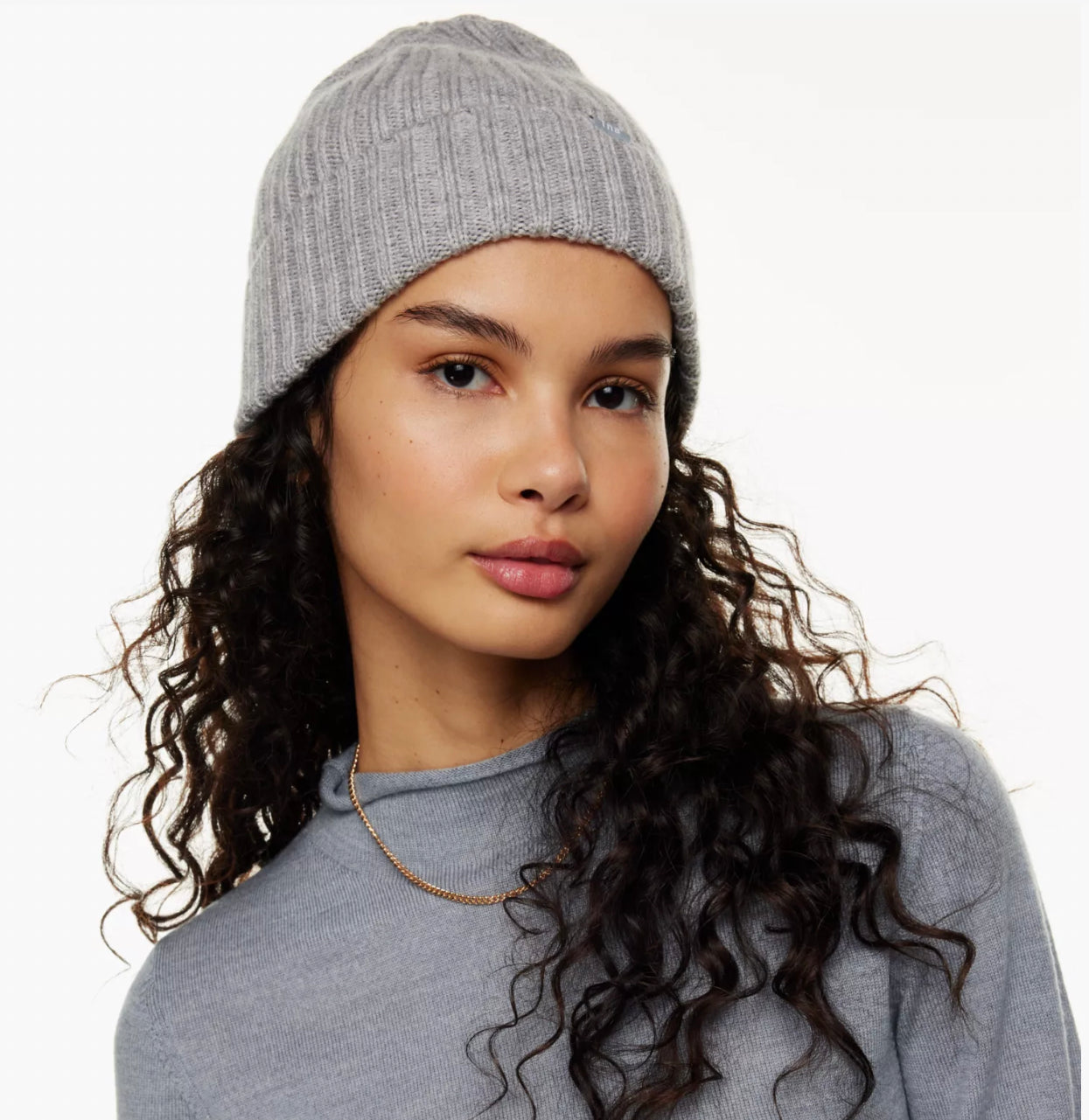 Aritzia TNA Rush Beanie