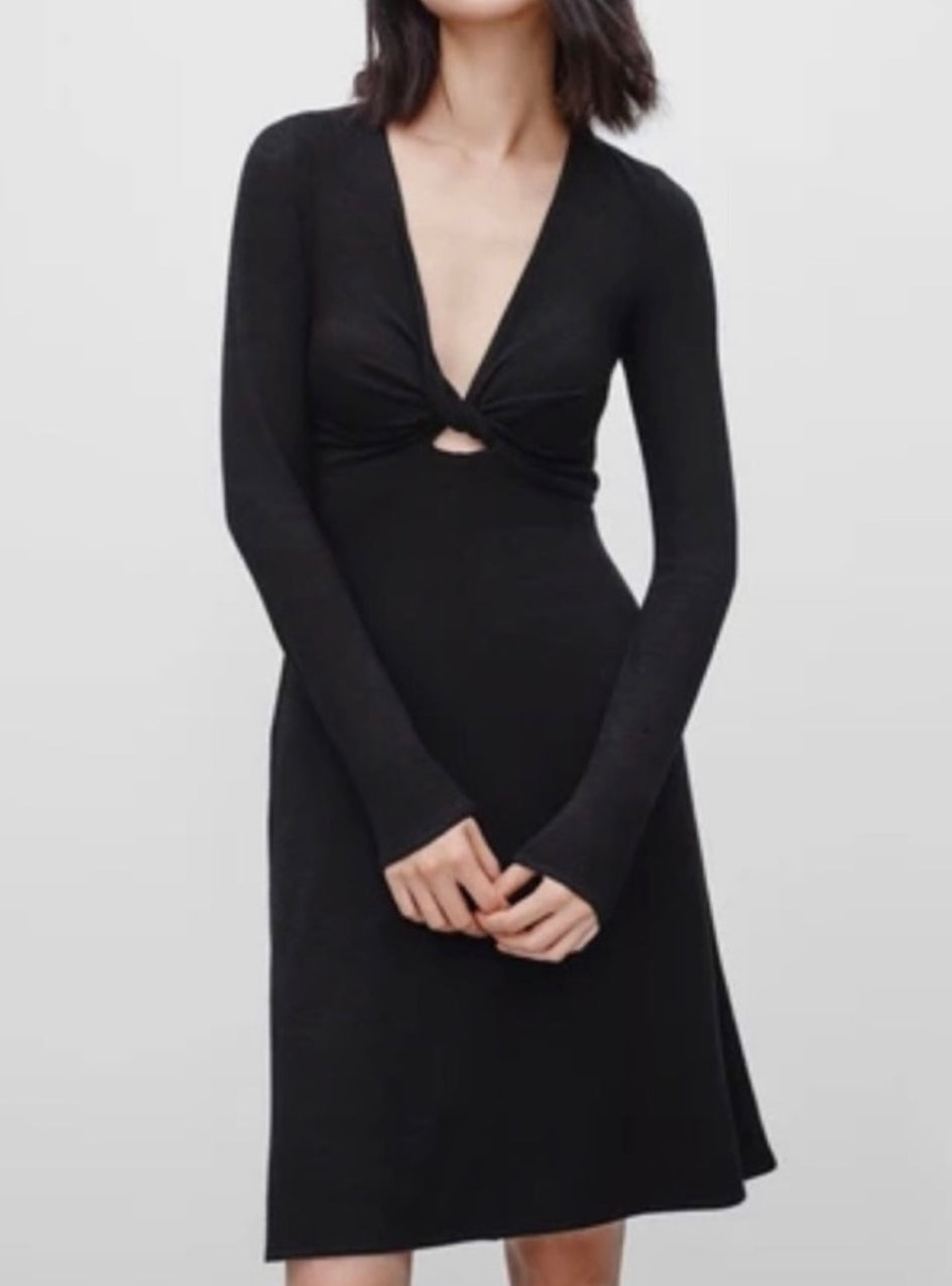 Aritzia Wilfred Free Paige Dress