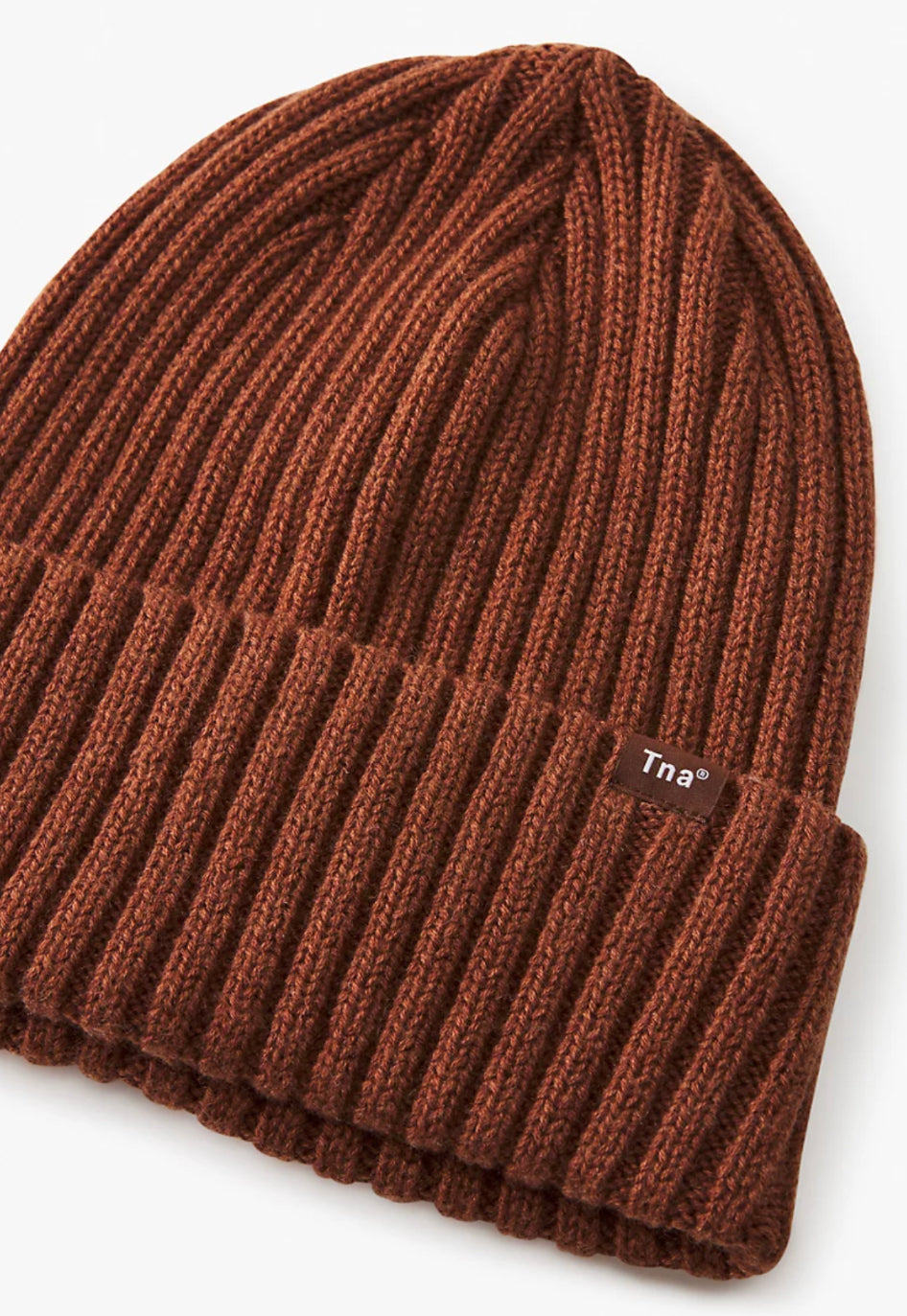 Aritzia TNA Rush Beanie