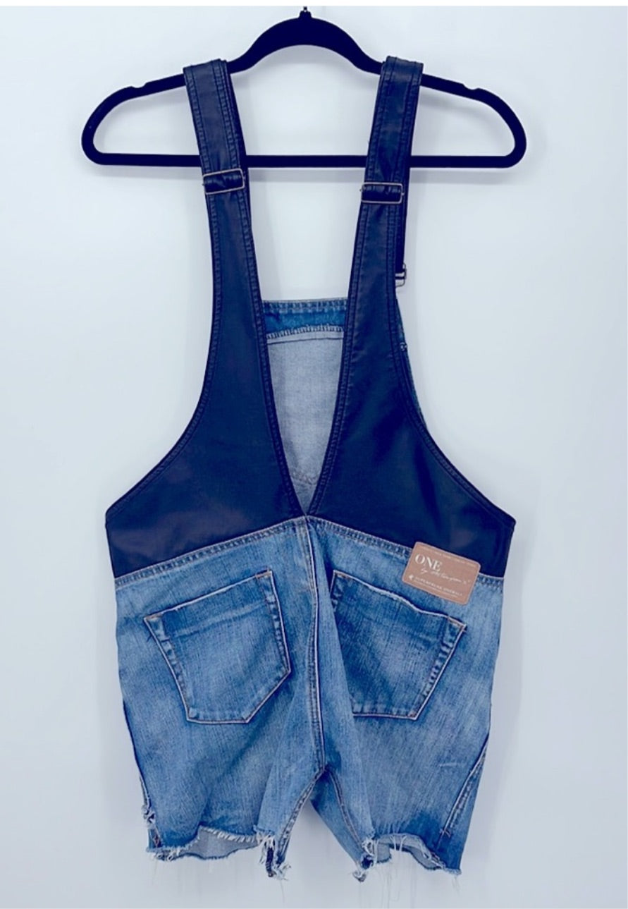 One Teaspoon Super Freak Overalls