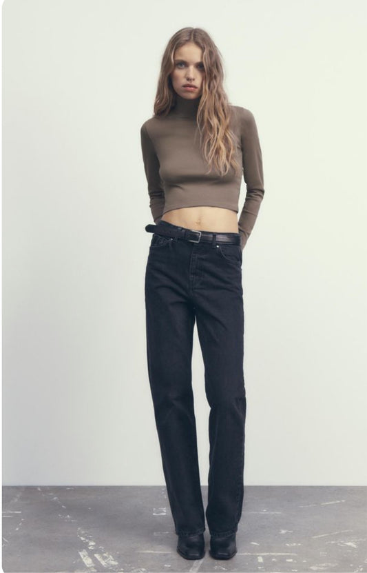 Zara Cropped Mock Neck Top