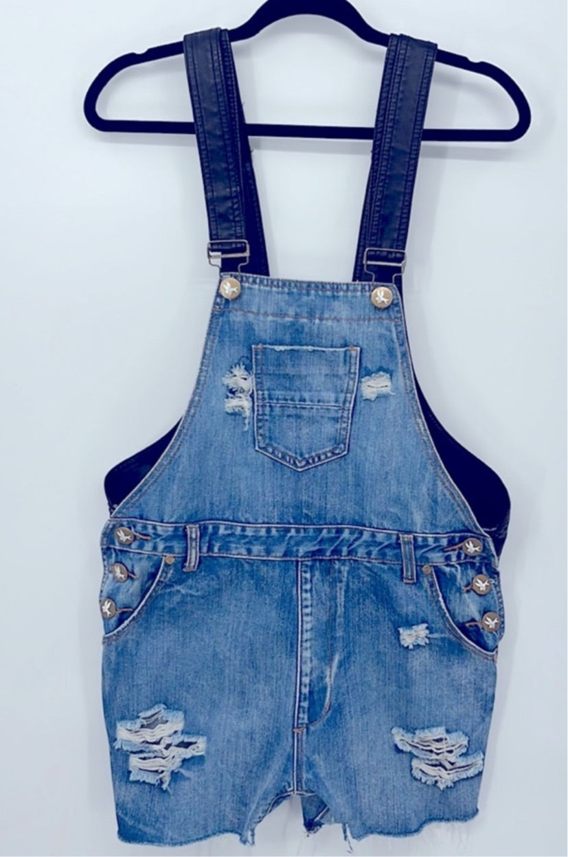 One Teaspoon Super Freak Overalls