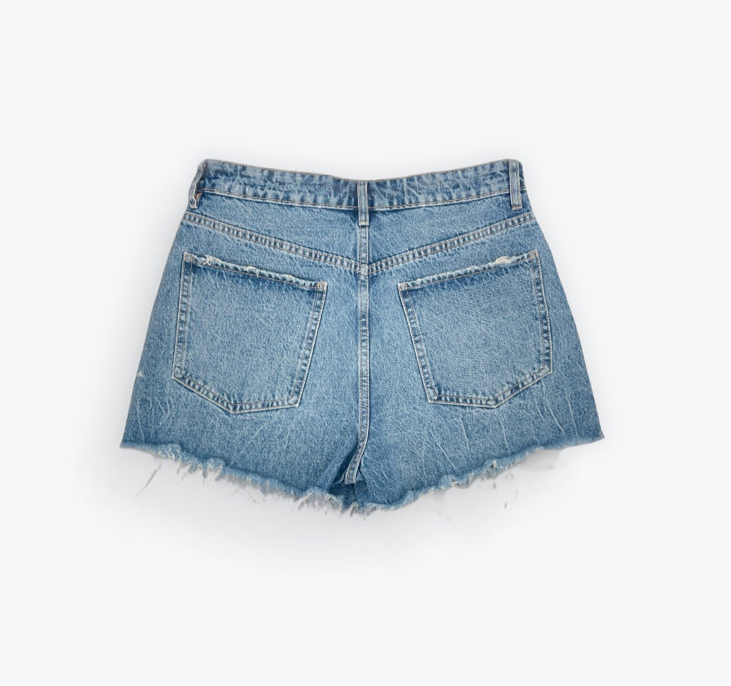 Zara High Rise Denim Shorts